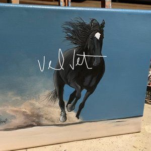 Original painting by artist Assateague wild black horse acrylic on canvas  11x14